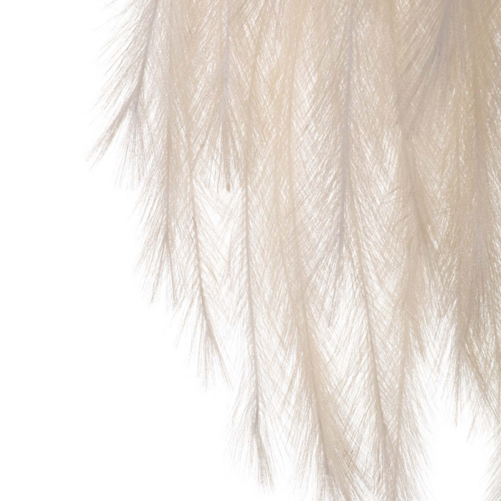 Cream Pampas Stem